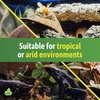 image:imageJoshs Frogs Natural Coco Shell Cave