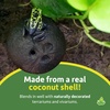 image:imageJoshs Frogs Natural Coco Shell Cave