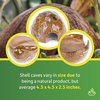 image:imageJoshs Frogs Natural Coco Shell Cave