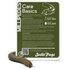 image:imageJoshs Frogs Smokey Oak Millipede Narceus gordanus