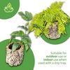 image:imageJoshs Frogs Virgin Cork Planters 4 inch Tall4 inch tall