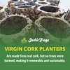 image:imageJoshs Frogs Virgin Cork Planters 4 inch Tall4 inch tall