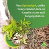 image:imageJoshs Frogs Virgin Cork Planters 4 inch Tall4 inch tall