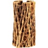 image:imageJoshs Frogs Cholla Skeleton Wood 6 Long Medium 23 Diameter