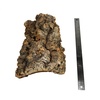 image:imageJoshs Frogs Individual Cork Flats SmallLarge