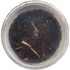 image:imageJoshs Frogs Porcellionides pruinosus Isopods 10 Count Orange CreamPowder Blue