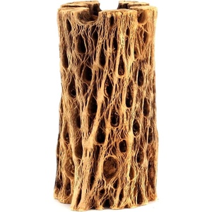 image:imageJoshs Frogs Cholla Skeleton Wood 6 Long Medium 23 Diameter