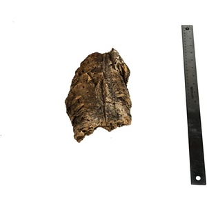 image:imageJoshs Frogs Individual Cork Flats SmallSmall