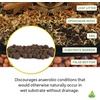 image:imageJoshs Frogs False Bottom  LECA Expanded Clay Pebbles 4 Quarts4 Quarts